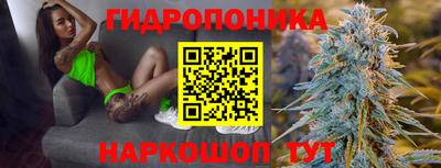 шишки Краснодар