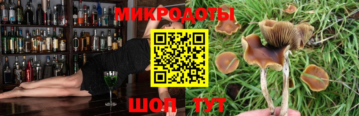 Псилоцибиновые грибы MAGIC MUSHROOMS Армавир
